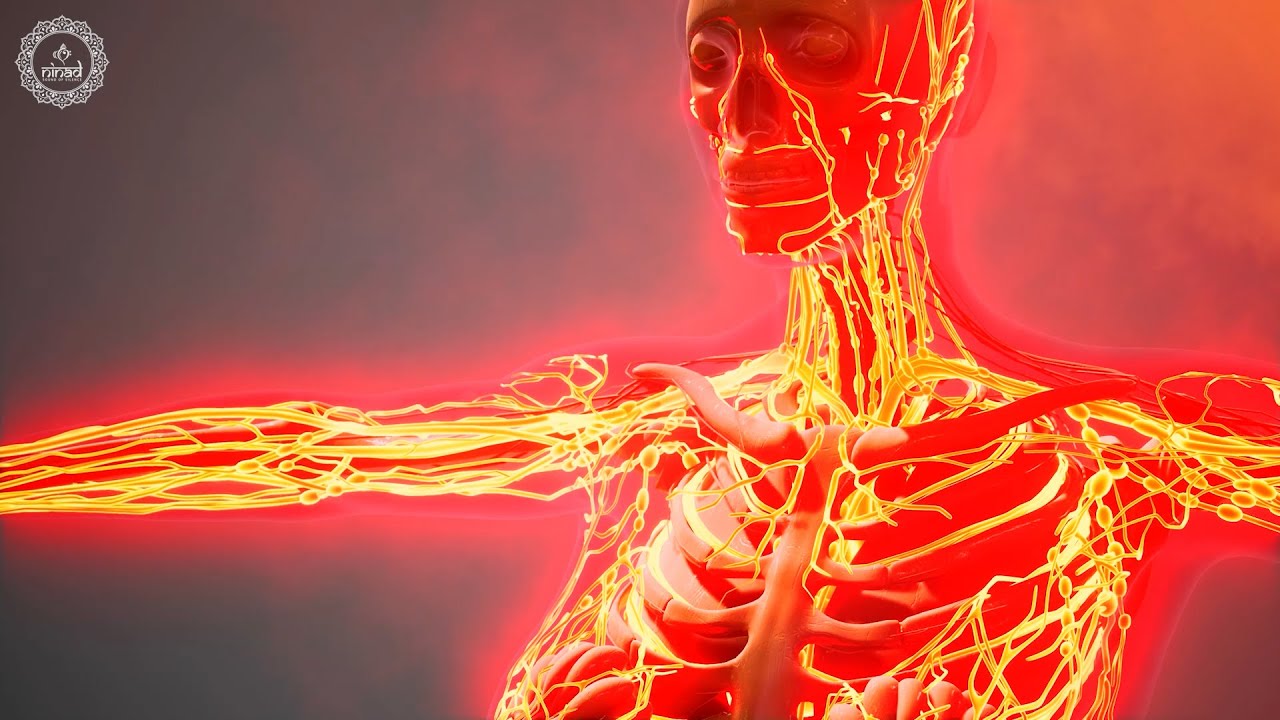 Stimulate Blood Circulation In The Body | Increase Blood Oxygen | Keep Your All Organs Healthy
