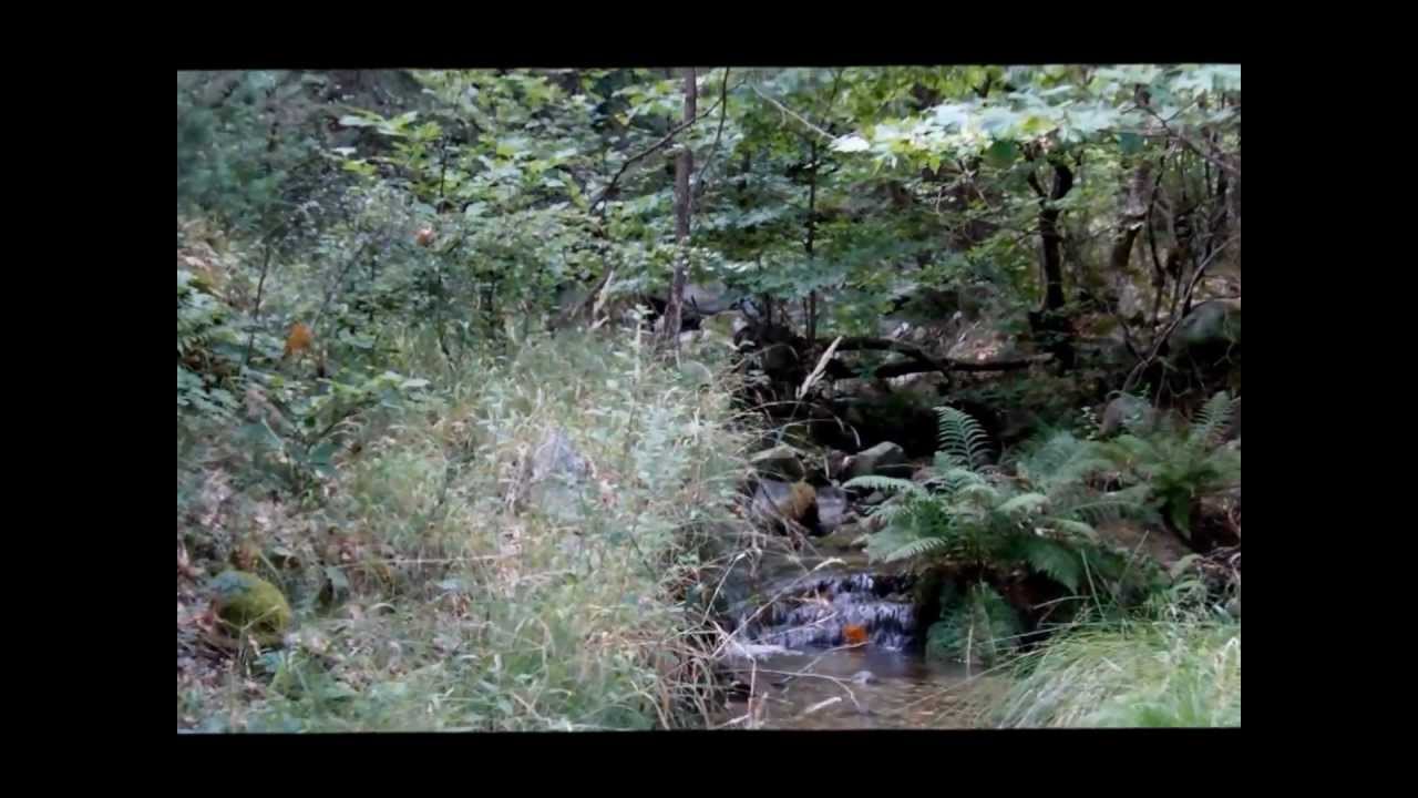 Δάσκιο . Στ' Μέκ ..wmv