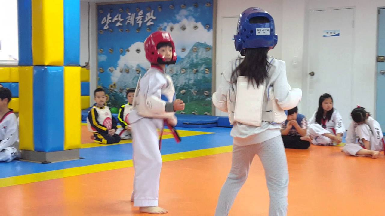 양산체육관 유치부 태권도 겨루기  남여 대결 그져 열심히만 울 최강 홧팅이네