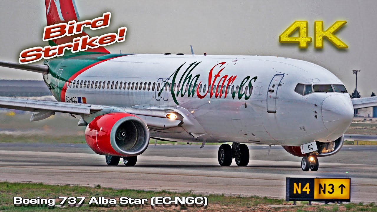 Boeing 737 Alba Star (EC-NGC) Bird Strike Valencia!