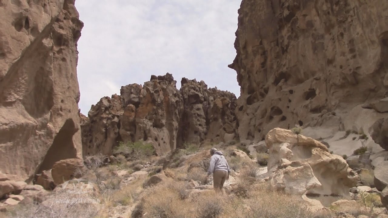 Mojave National Preserve
