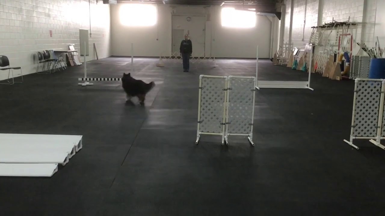 DIRECTED JUMPING