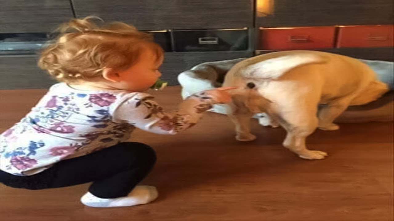 BEST OF THE WEEK #17 - Funniest Fails of the Week