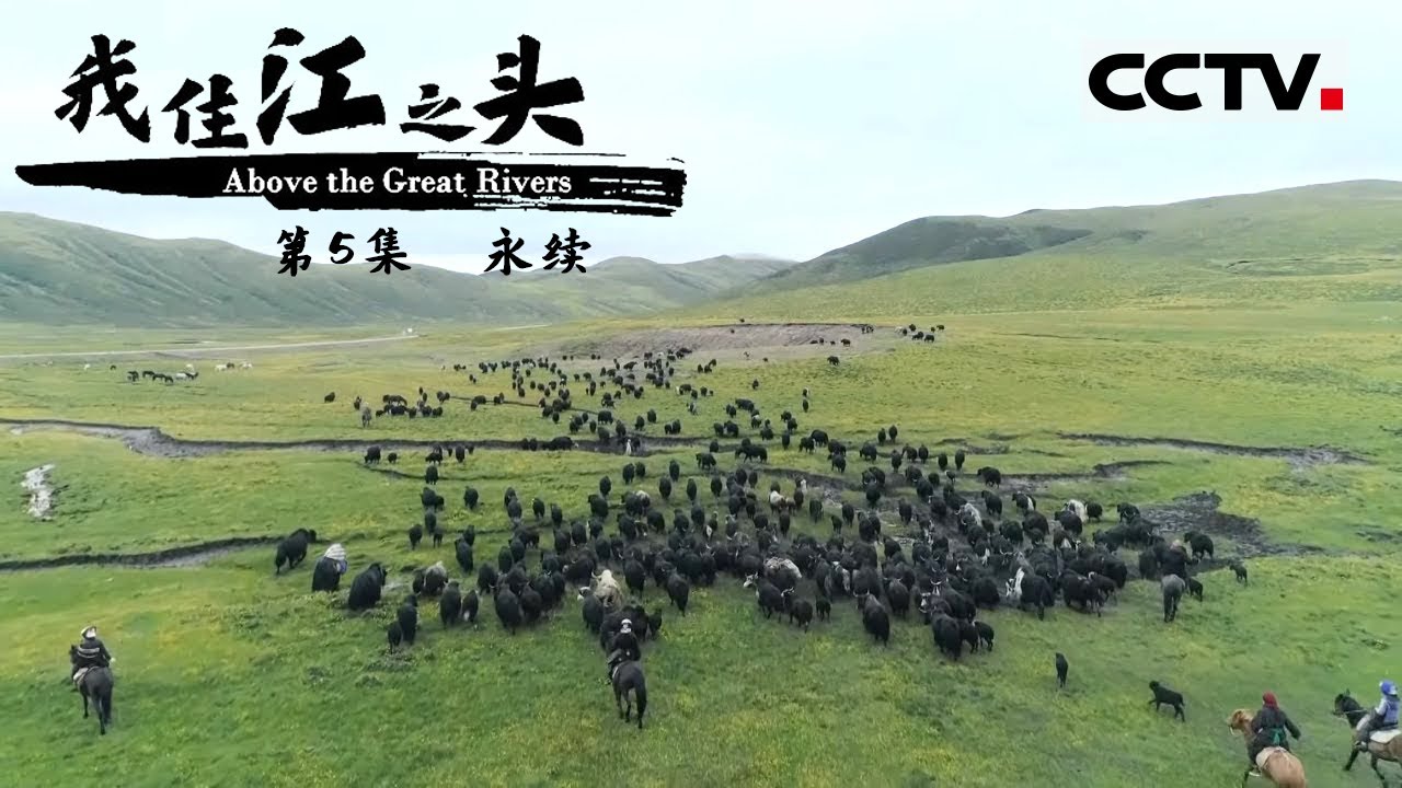 《我住江之头》第5集 我的家在国家公园 守护三江源国家公园 About the Great Rivers EP5【CCTV纪录】
