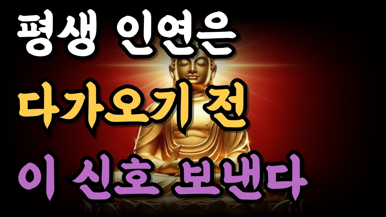 평생 인연은 다가오기 전 이 신호 보낸다