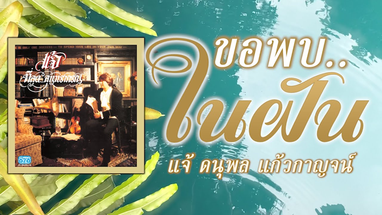 ขอพบในฝัน - แจ้ ดนุพล แก้วกาญจน์ [ Official Audio ] I เวอร์ชันนุ่มละมุนที่สุดในโลก!