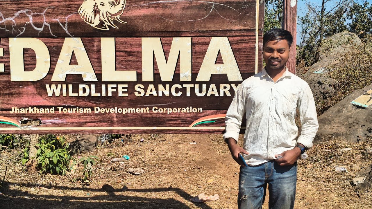 Dalma hill/Dalma wildlife sanctuary / full vlog video 