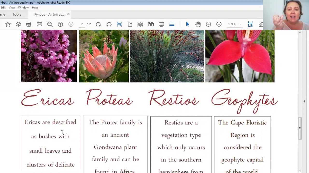 Fynbos Introduction
