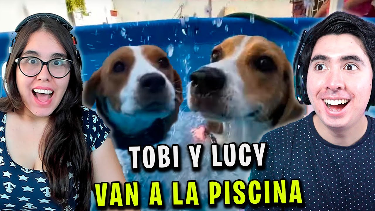 LLEVO a LUCY y TOBI a la PISCINA y ESTA FUE su REACCIÓN