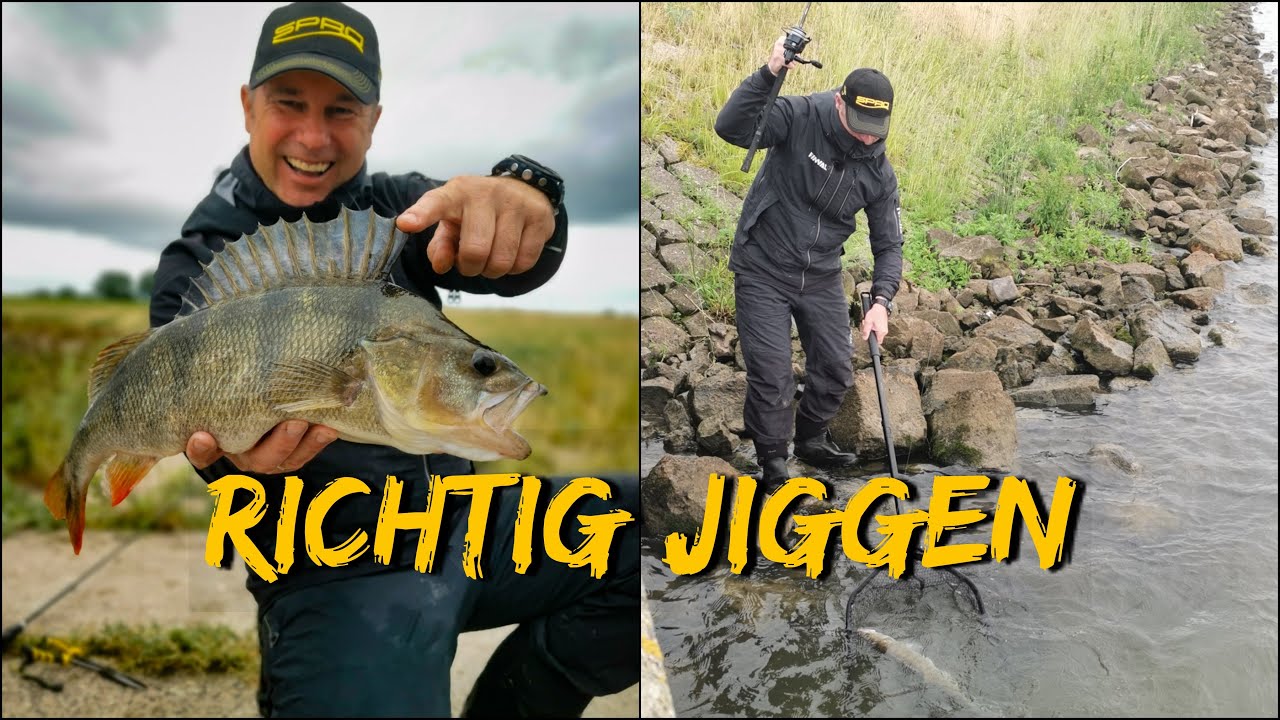 Richtig Jiggen | Raubfisch Guide mit @zeitistfisch