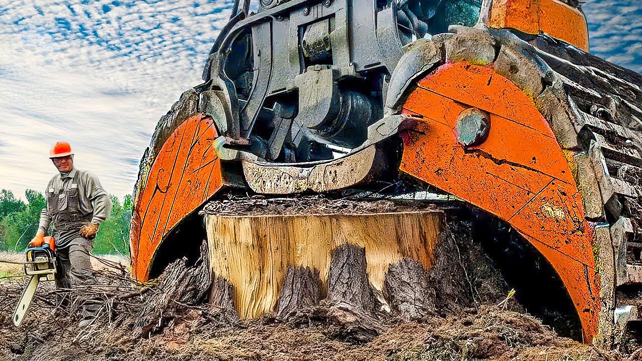 Extreme Dangerous Fastest Big Chainsaw Cutting Tree Machines | Monster Stump Removal Excavator #66