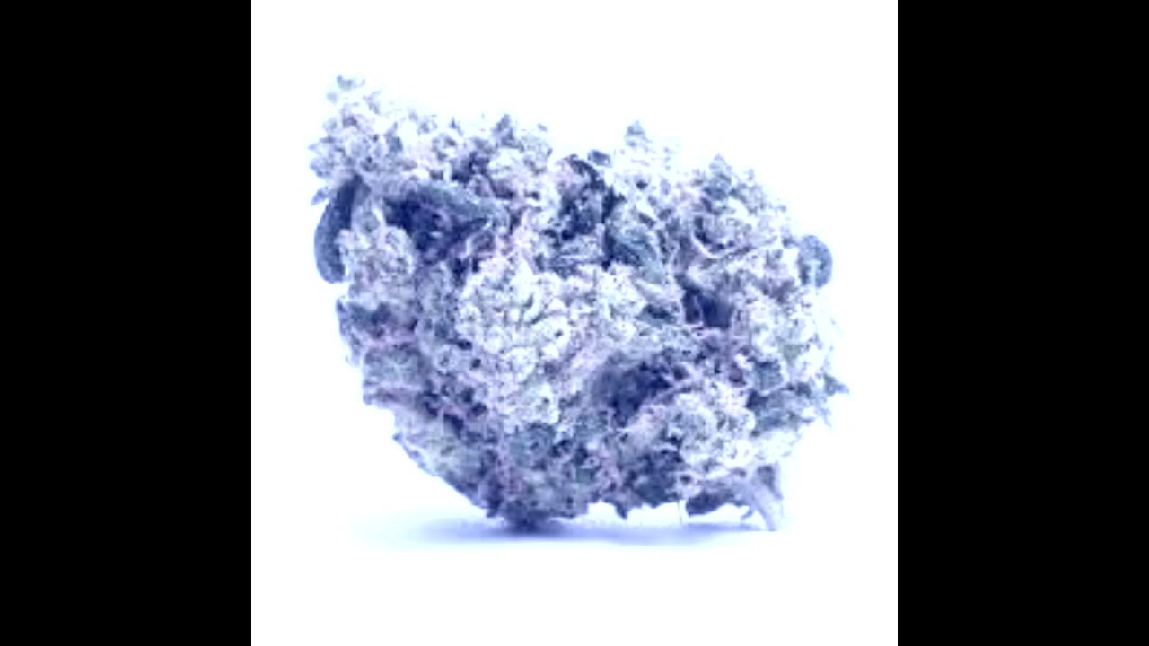 How to roll a 15 gram blunt by Blakksantana