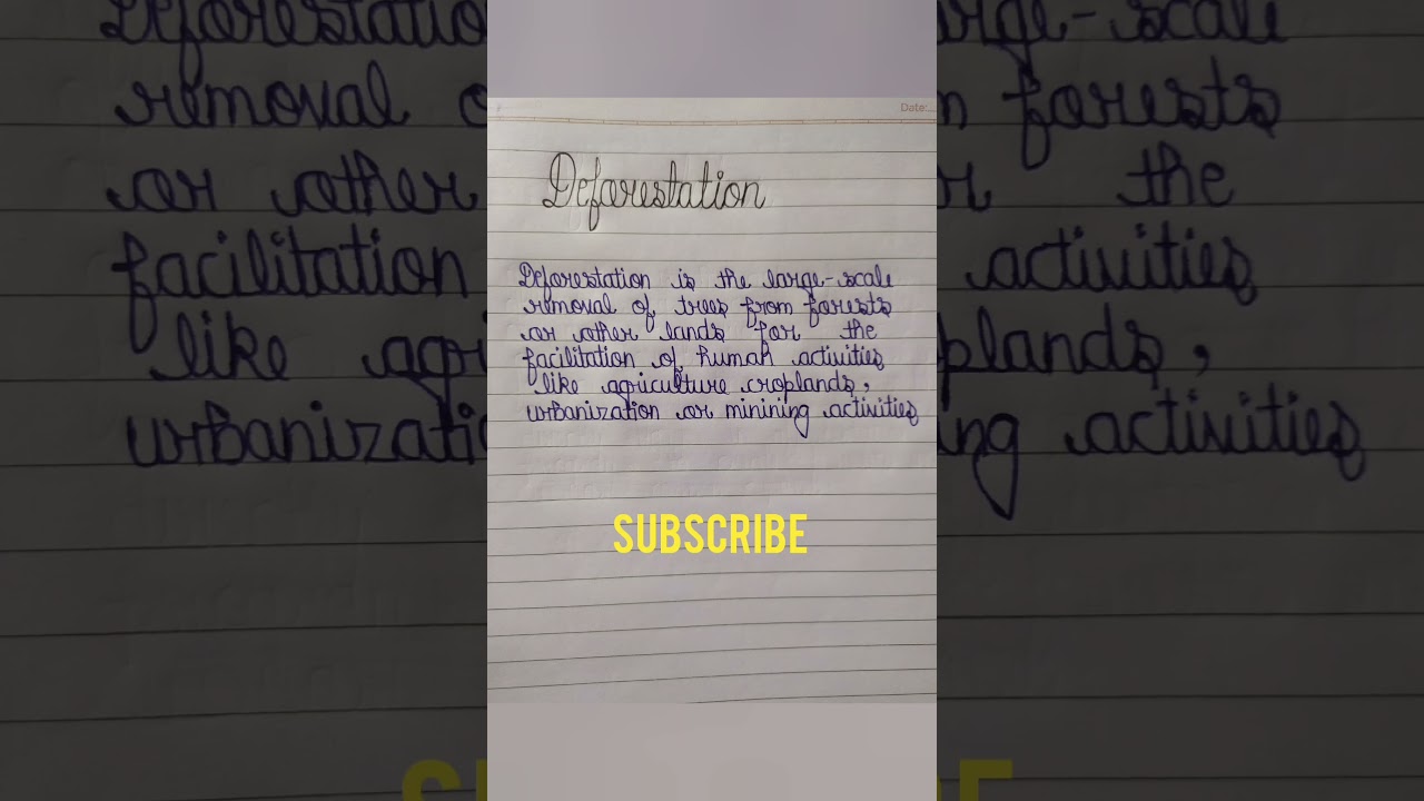 What Is Deforestation | Deforestation  |