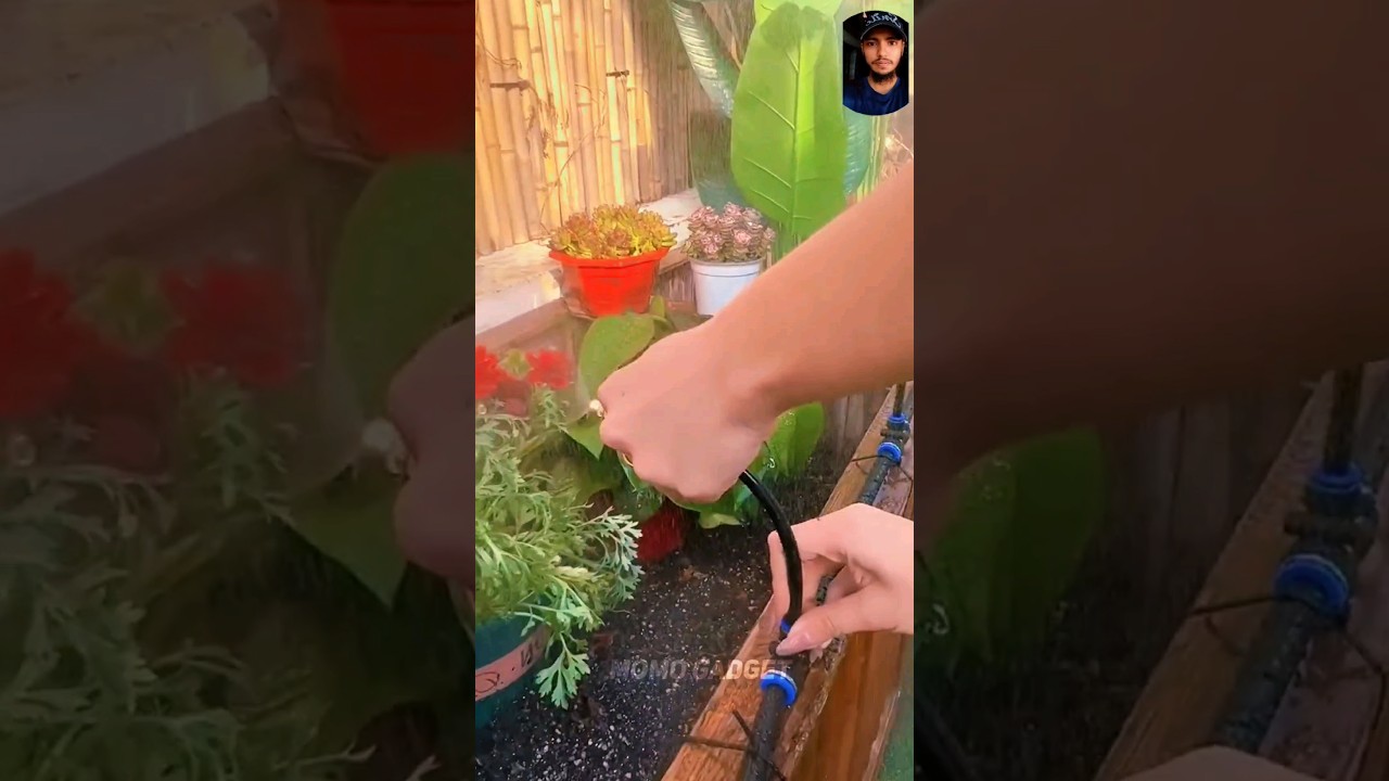 Garden Watering Made Easy: Control from Anywhere Gadget🤯 #gadget #gadgets #ytshorts
