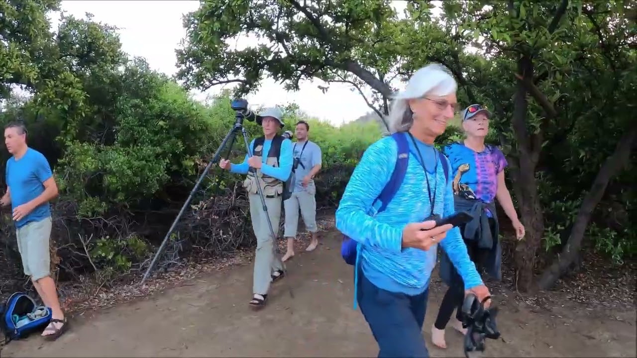 Birding Tours Galapagos, Real Nature Videos