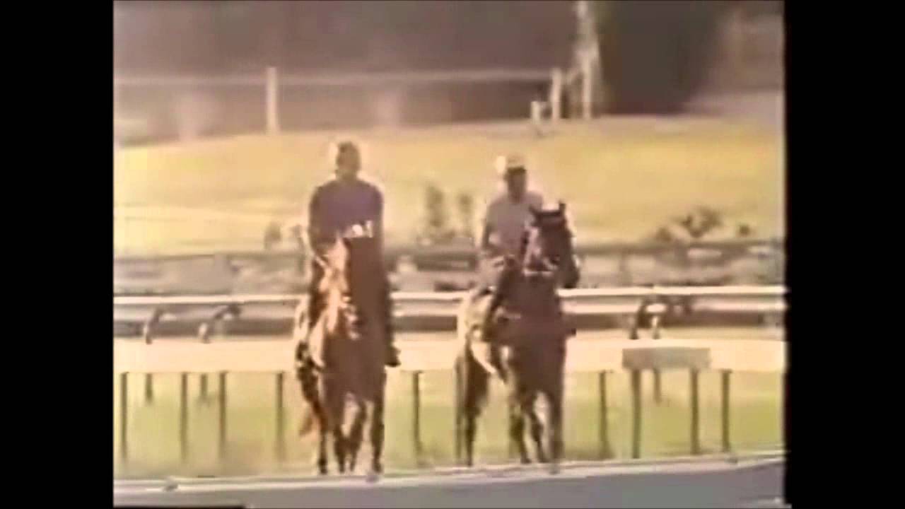 Shine On Brisbane (1982)