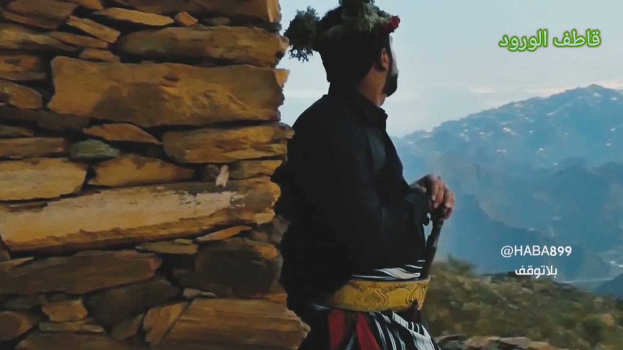 انا الجنوب🇸🇦💚. عبدالمجيد عبدالله