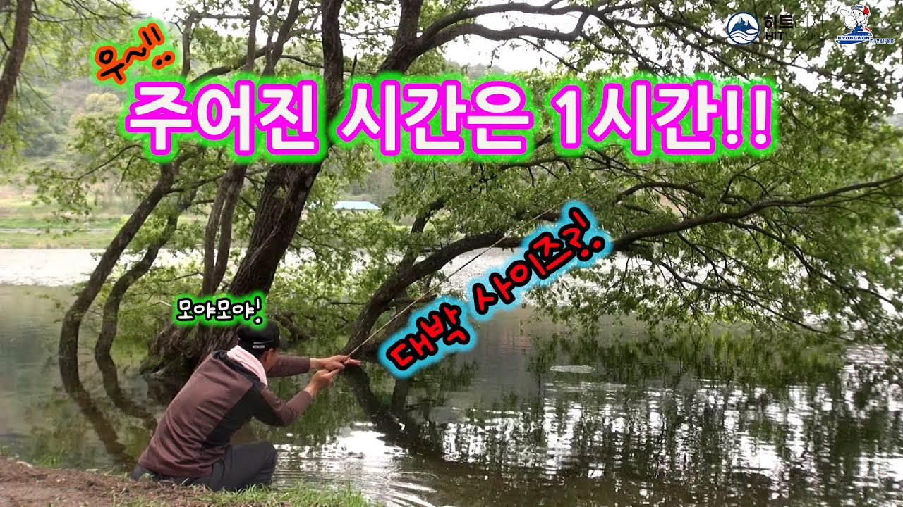 목줄 성능 검증!! 적극 추천 합니다!!