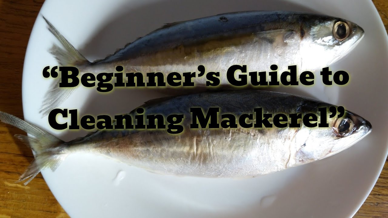 Watch Me Turn a Fresh Mackerel Into a Perfect Fillet😍😍...A relaxing Mackerel Cleaning 😁😁