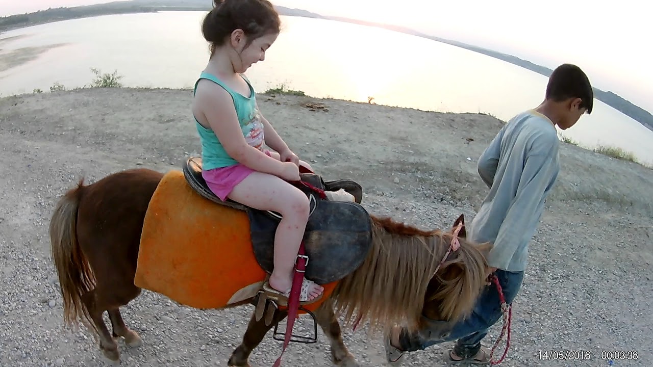 cocuklarin pony'lerle turlamalari cimcimeler