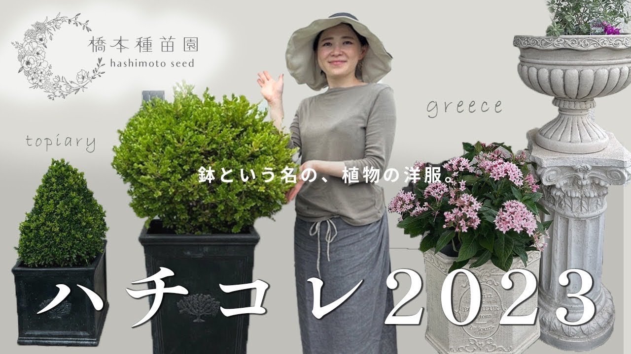 【たった2鉢だけで】おしゃれな鉢を使ったコーディネート術♪