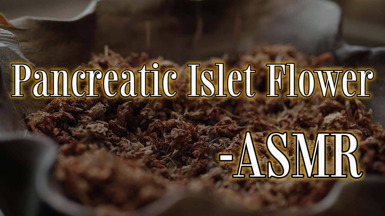 ASMR - Pancreatic Islet Flower | Desiccated Sounds | Relieve Stress and Help You Fall Asleep