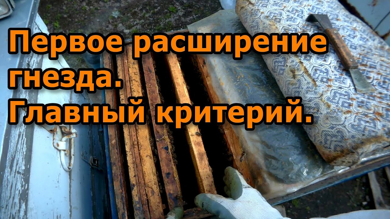 Первое расширение гнезда. Главный критерий.