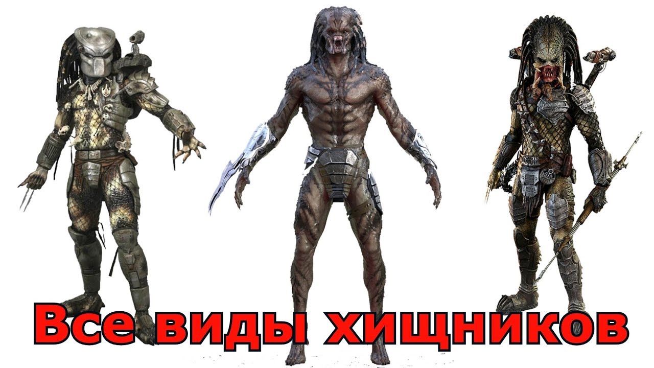 Сравнение всех видов Хищников (Яутжа)