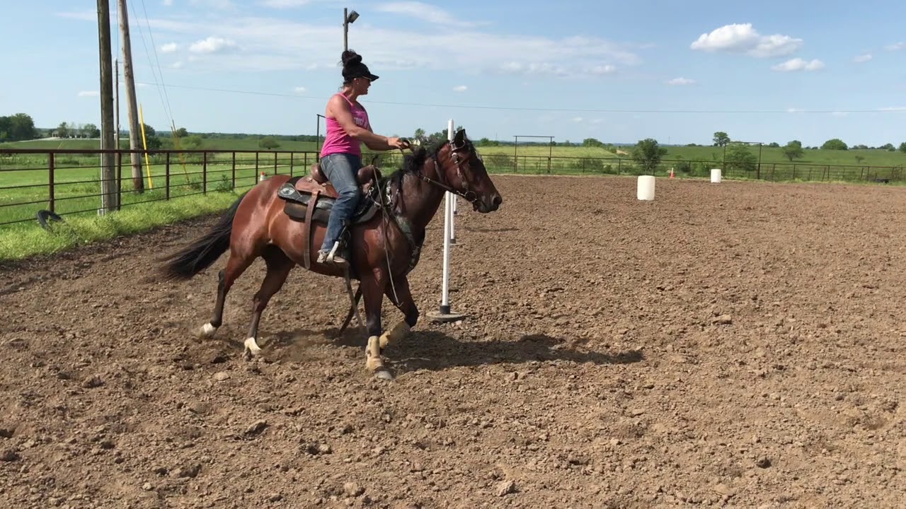 Pole Bending training video