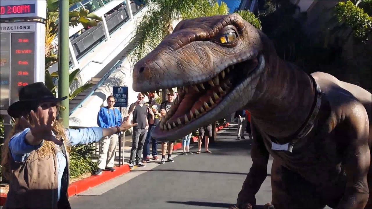 Raptor encounter