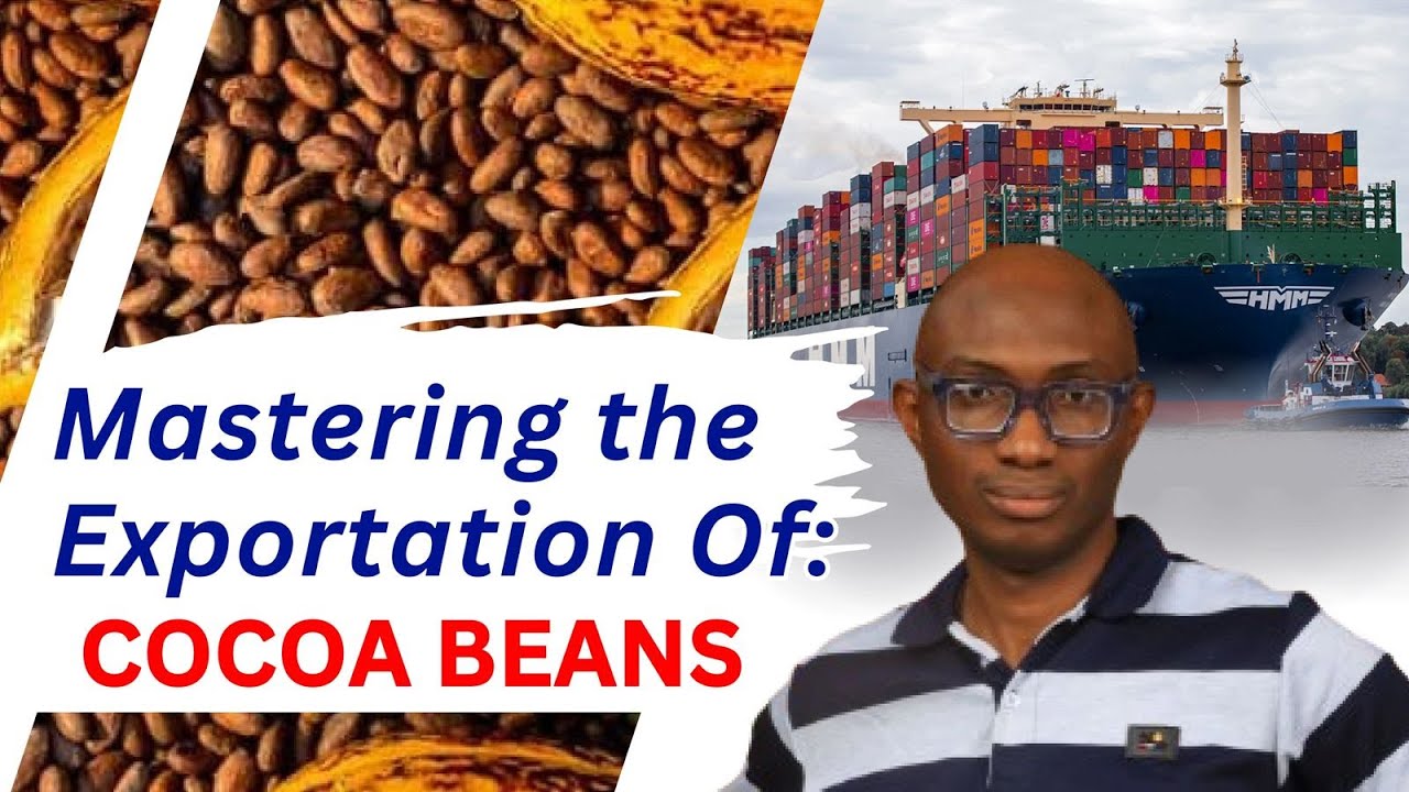 Mastering The Exportation | Cocoa Beans