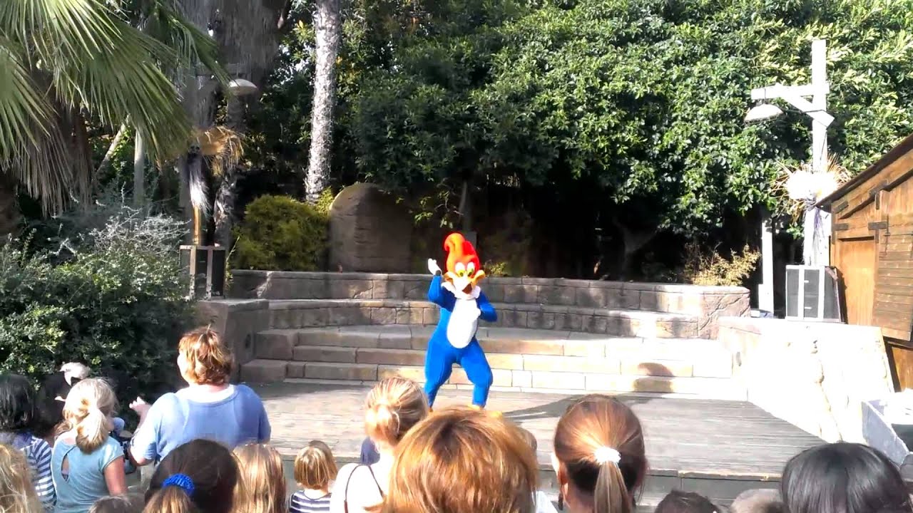 Woody woodpecker doing Gangnam style portaventura