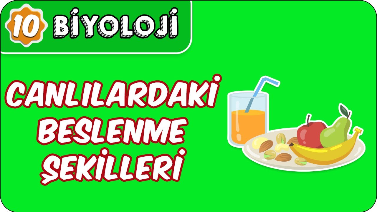 Canlılardaki Beslenme Şekilleri | 10. Sınıf Biyoloji