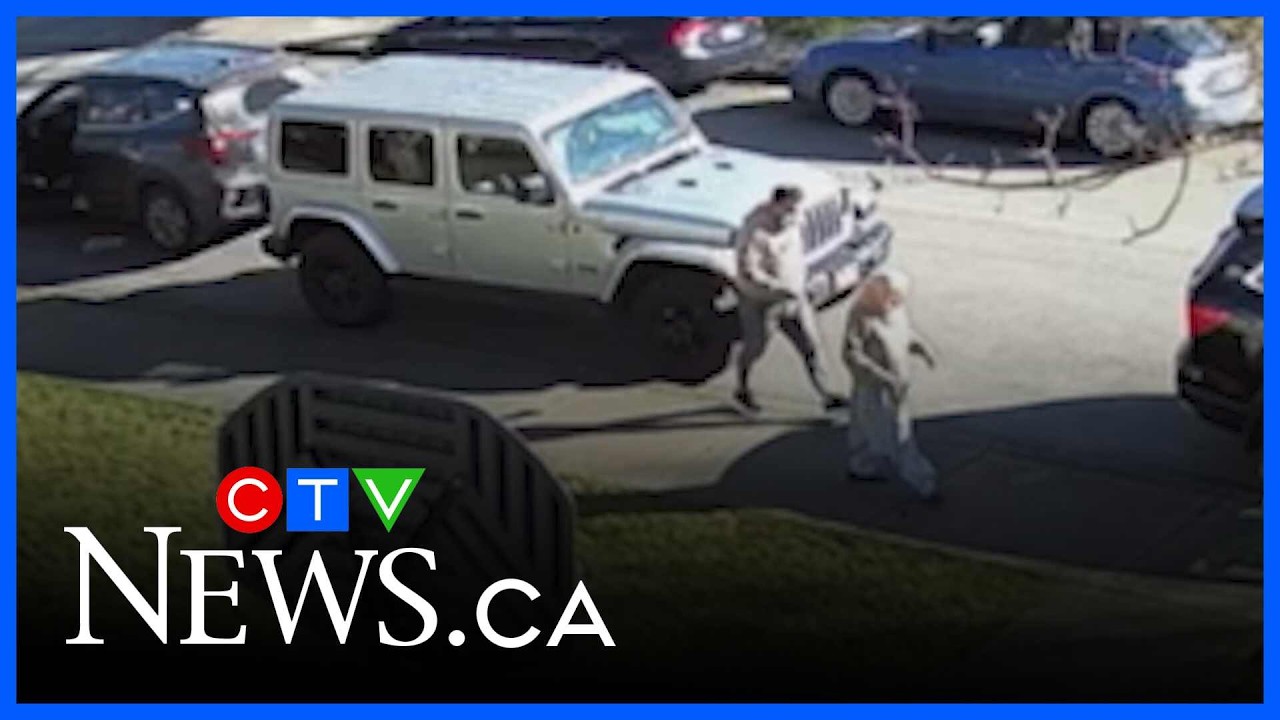 Grandmother fights thief in B.C.