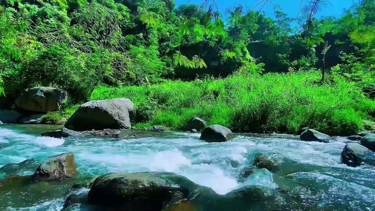 Mountain Stream Quiet Flow, Forest River Water, Sleeping