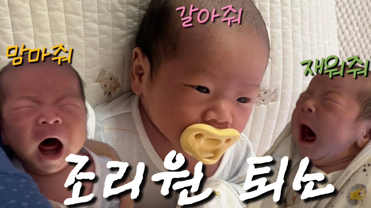 [Vlog]조리원 퇴소 후 산후 도우미 없이 본격육아 시작! 