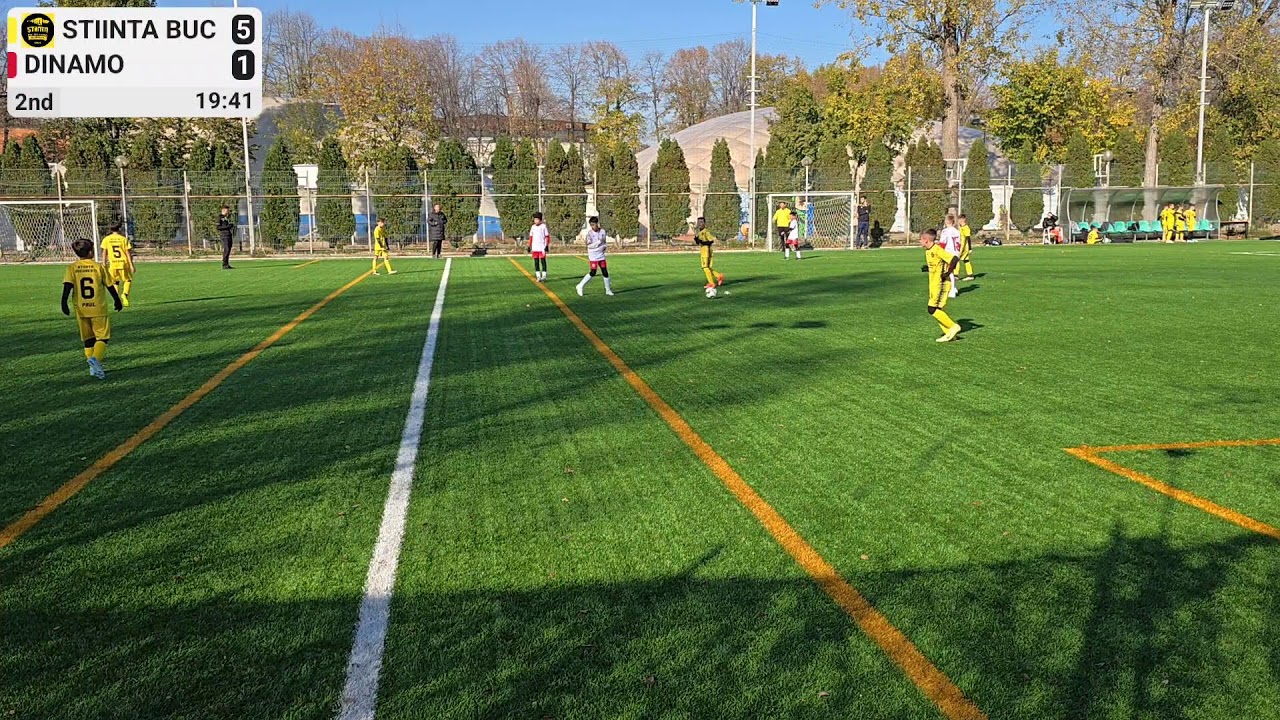 Stiinta Buc vs Dinamo - 16/11/2024