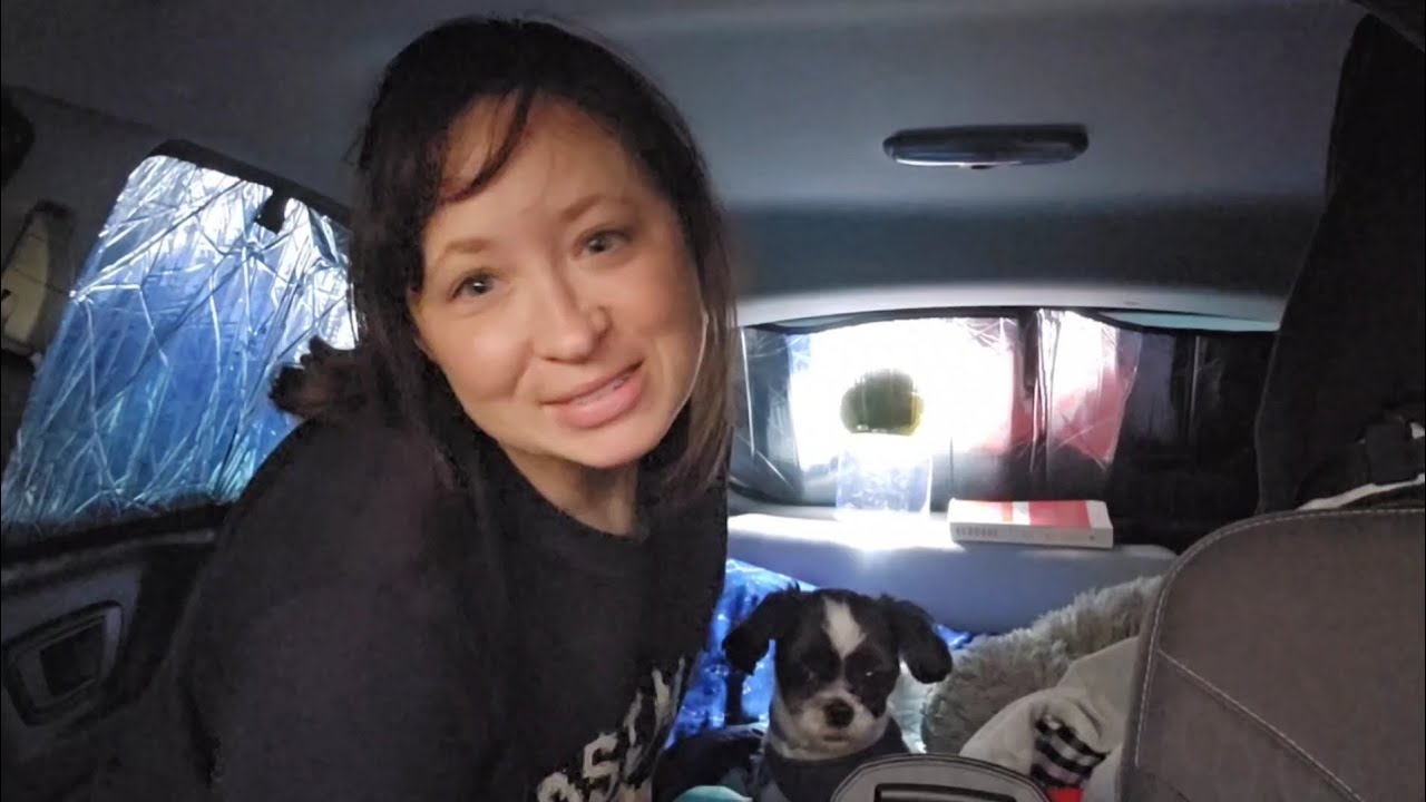 Solo Female Overnight Sleeping in a Car | Car Camping Living in my Car with my Dog on a Roadtrip