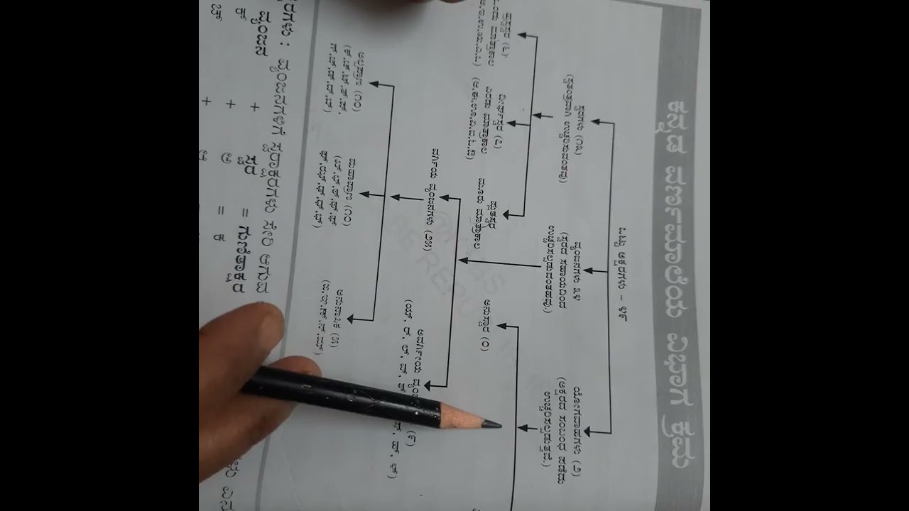 ಕನ್ನಡ ವರ್ಣಮಾಲೆ  ವಿಭಾಗ ಕ್ರಮ 