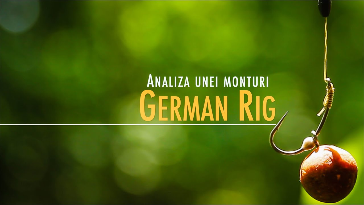 Analiza unei monturi: German Rig