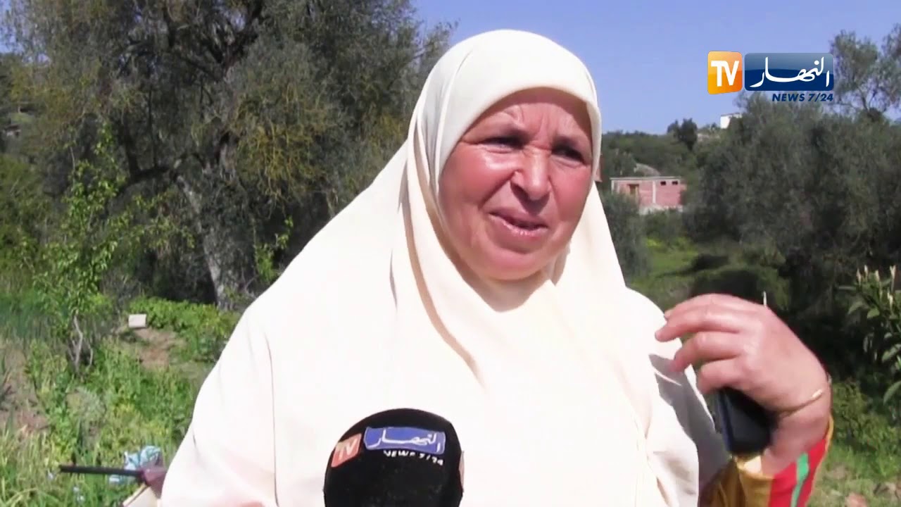 سكيكدة: عائشة بكوش ليزيدي..قصة نجاح وتفنن في أداء عملها في تطعيم الأشجار