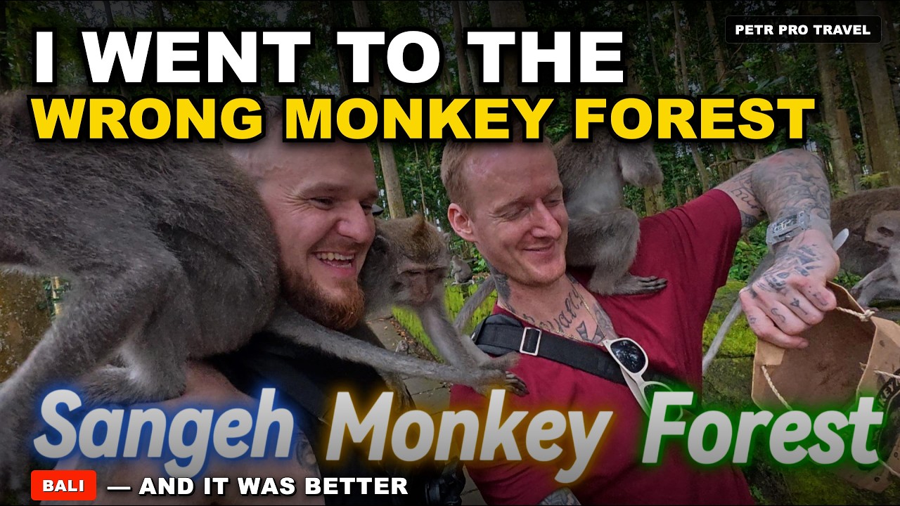 Surrounded by Monkeys in Bali 🇮🇩 🐒 | Sangeh Monkey Forest
