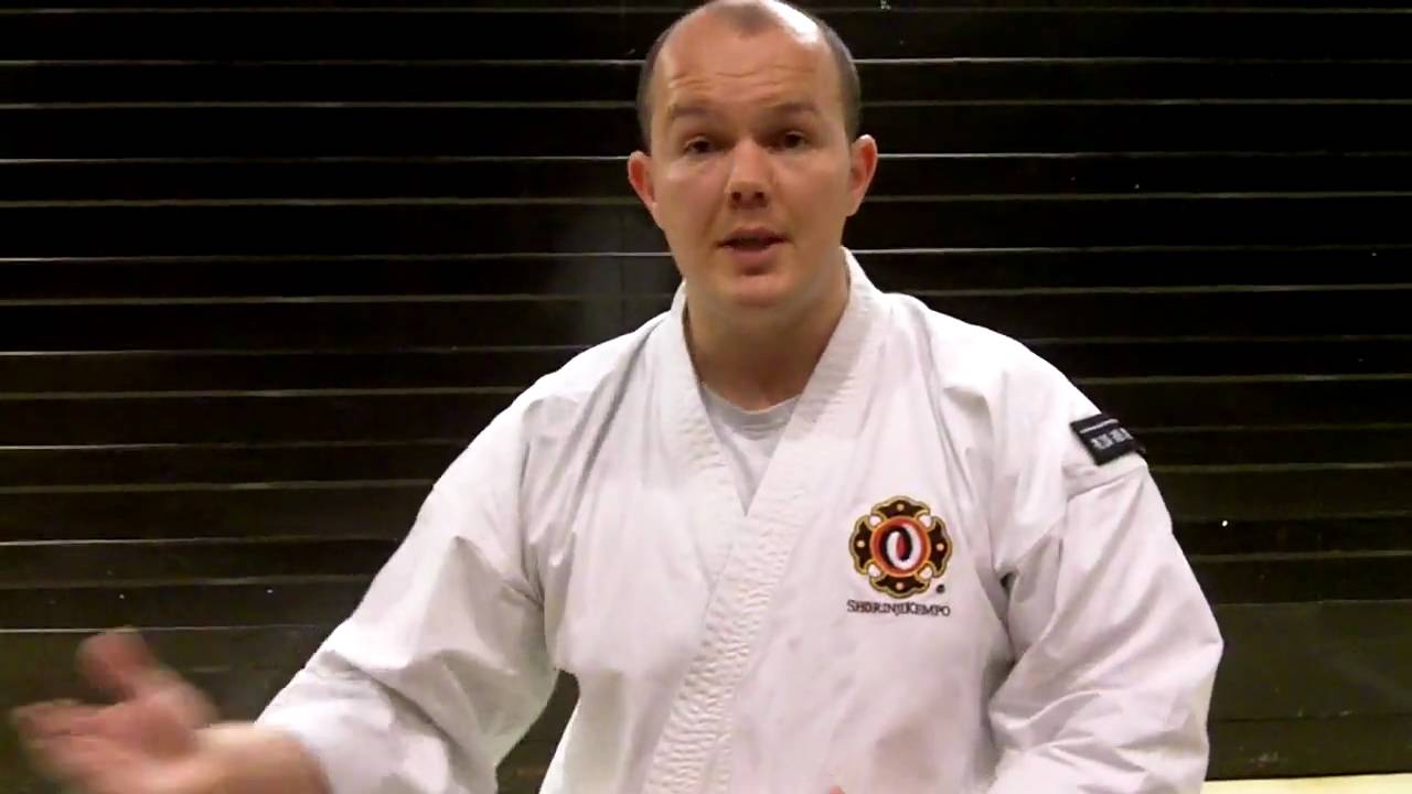 What is Shorinji Kempo?