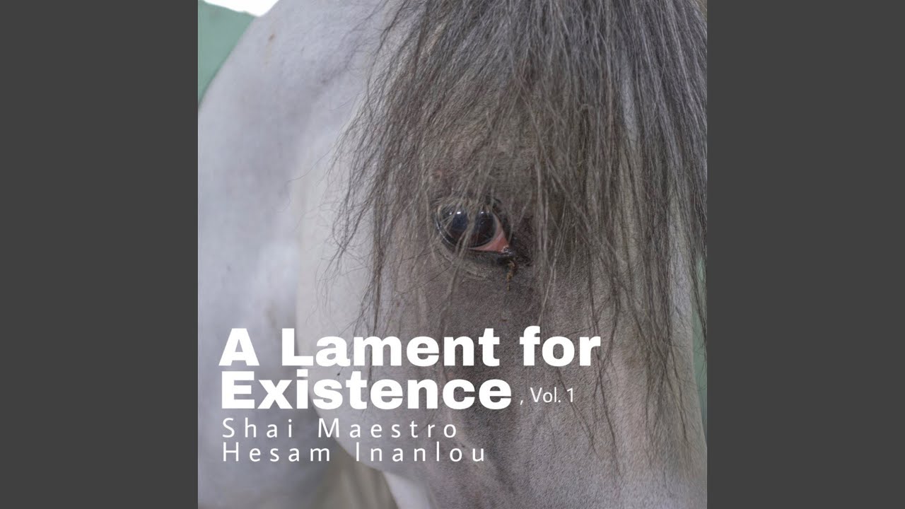 A Lament for Existence, Vol. 1