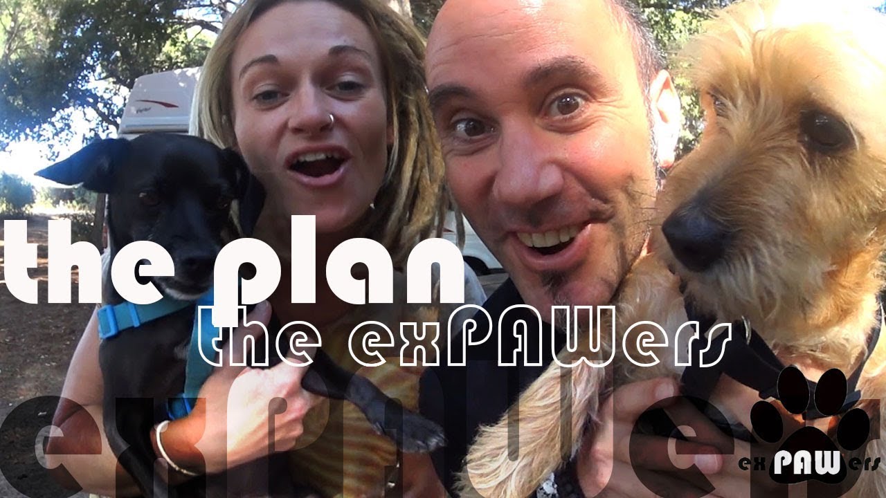 The exPAWers and the PLAN