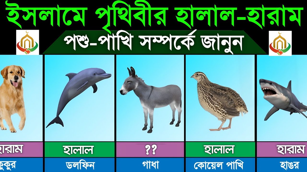 ইসলামের দৃষ্টিকোণ থেকে পৃথিবীর হালাল ও হারাম পশু-পাখি | Halal & Haram Animals In Islam