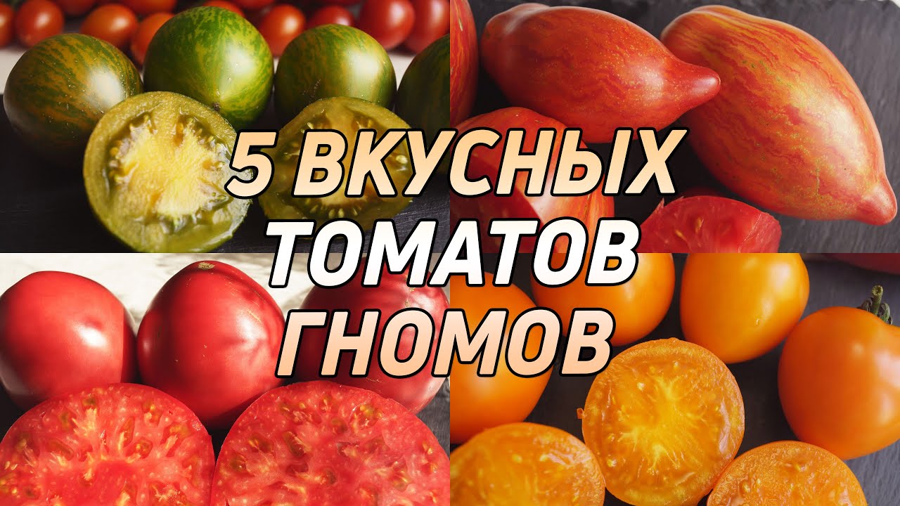 5 ВКУСНЫХ ТОМАТОВ ГНОМОВ!