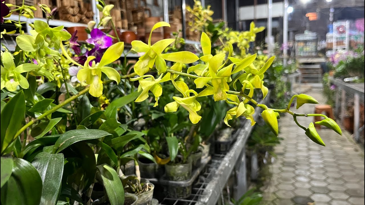 🔴SALE‼️menuju penghujung kemenangan😍