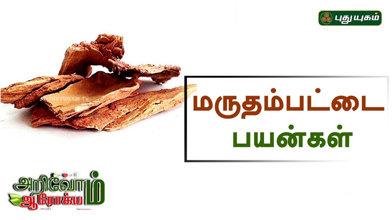 மருதம் பட்டை நன்மைகள்! | Marutham Pattai Benefits | EP 62 | Arivom Arogyam