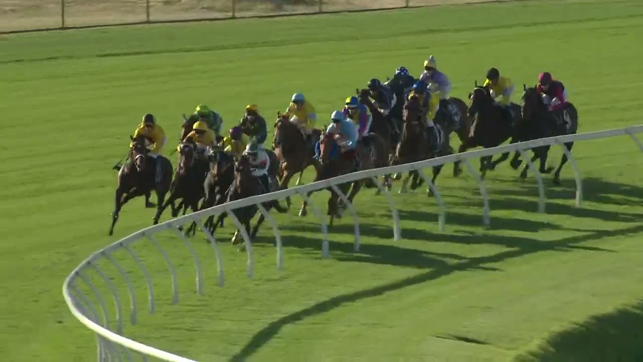 Belgravia Stakes 2025 — KING OF LIGHT (3YO SWP LR) Включен в список 25 октября